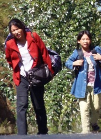 亚洲欧洲成人